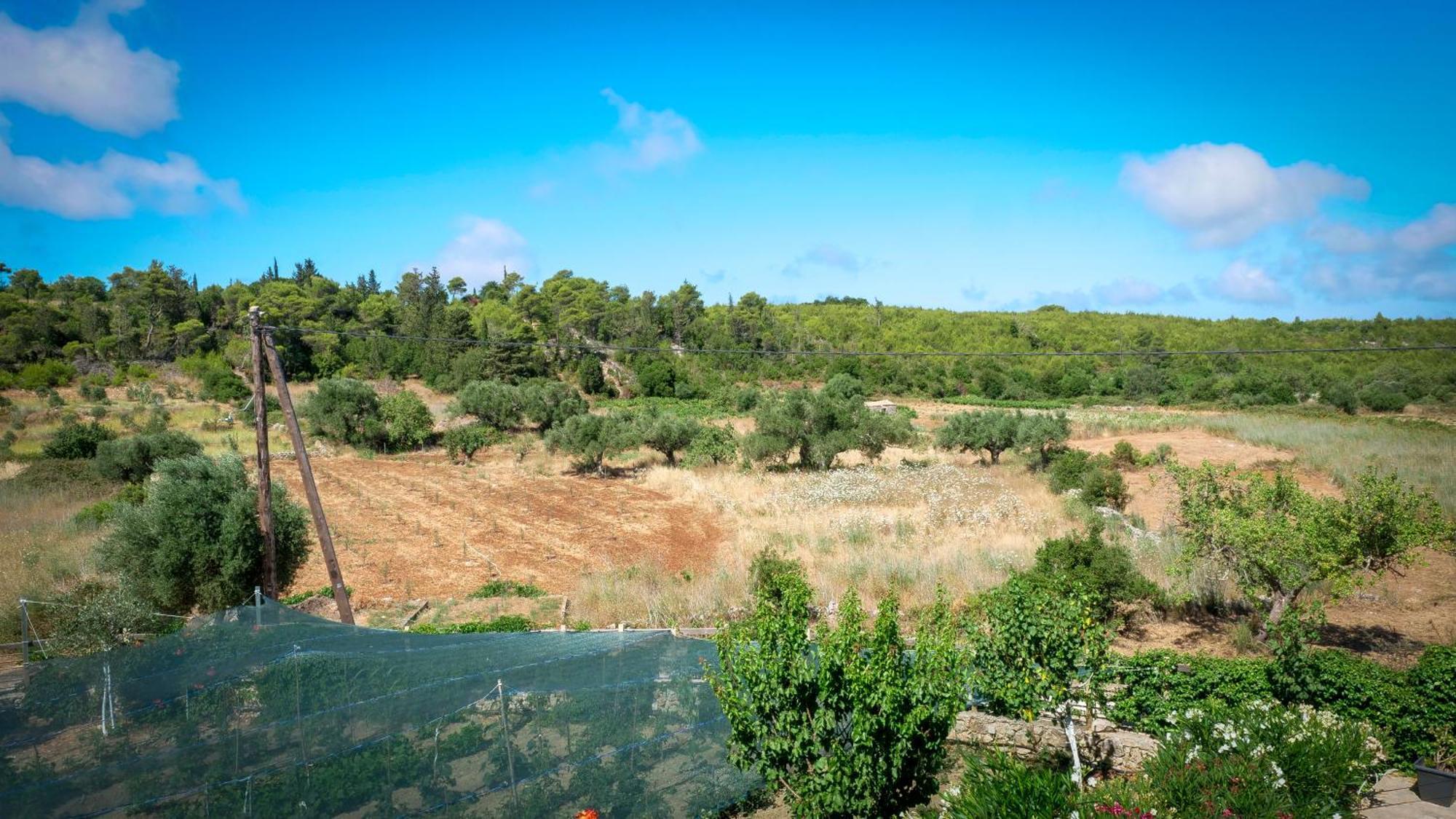 Fterini Apartments Agios Leon Esterno foto